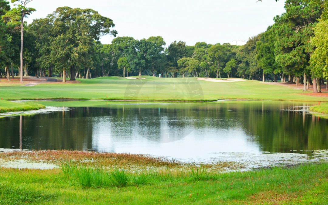 Discover the Ultimate Golfing Paradise on the Myrtle Beach Golf Trail