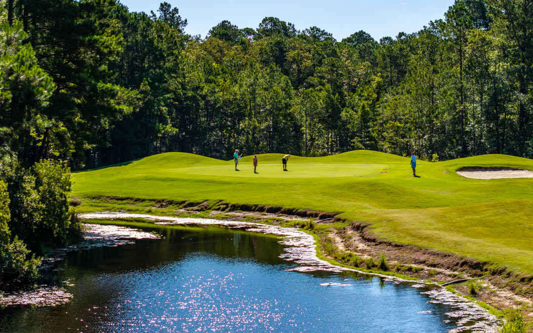 DiamondBack Golf Club: A True Carolina Challenge in the Heart of the Lowcountry